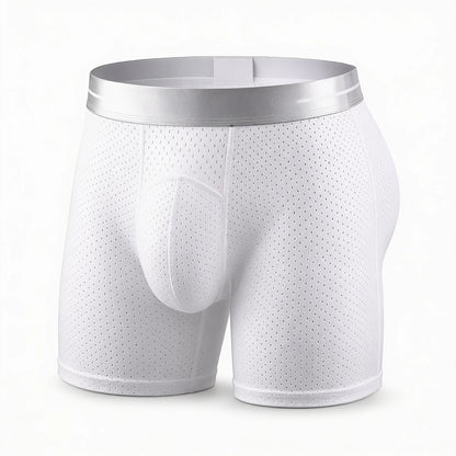 🔥 BEST DEAL 80% OFF TODAY🔥 2026 HOT SALE  AirFlexTM Premium Leakproof IceSilk Mesh Men's Boxer